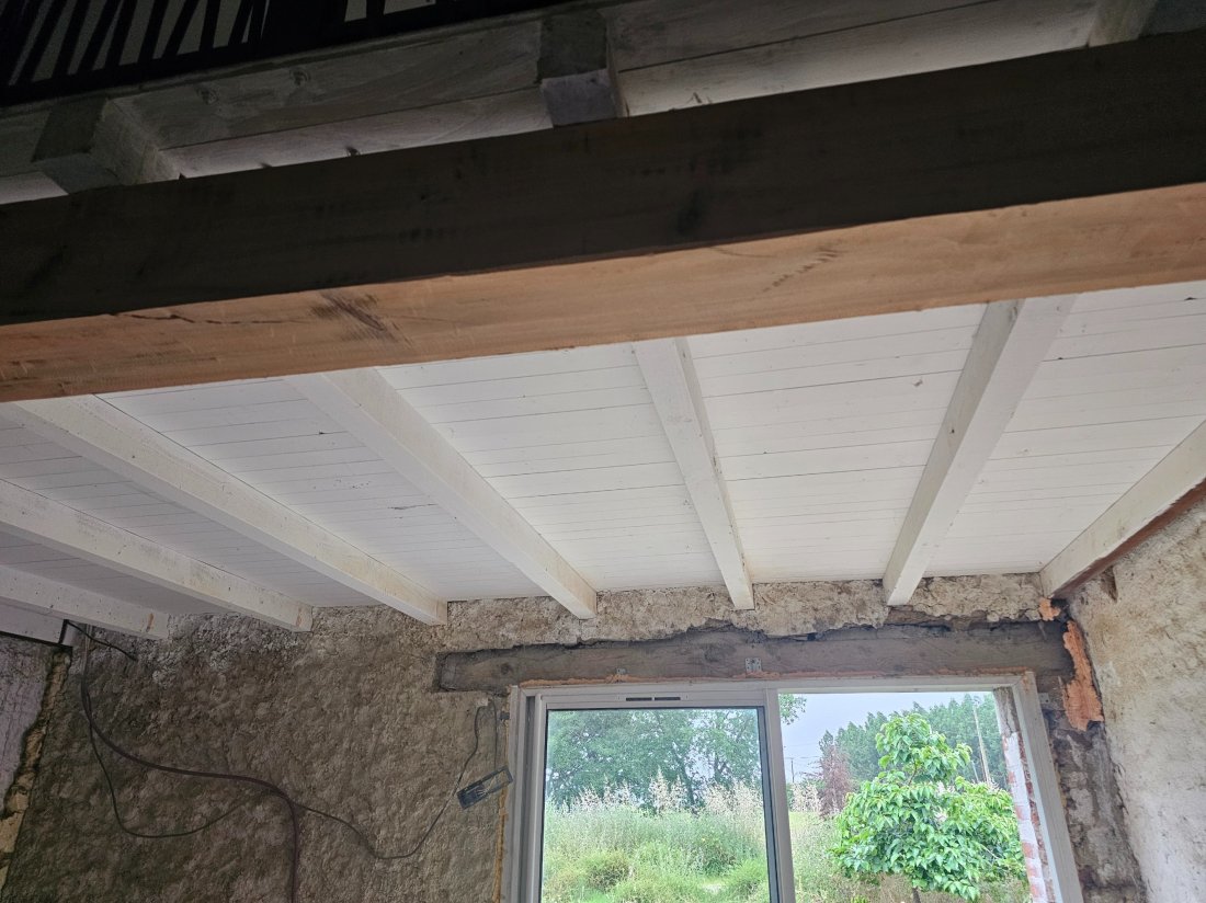 Décapage Plafond Pin